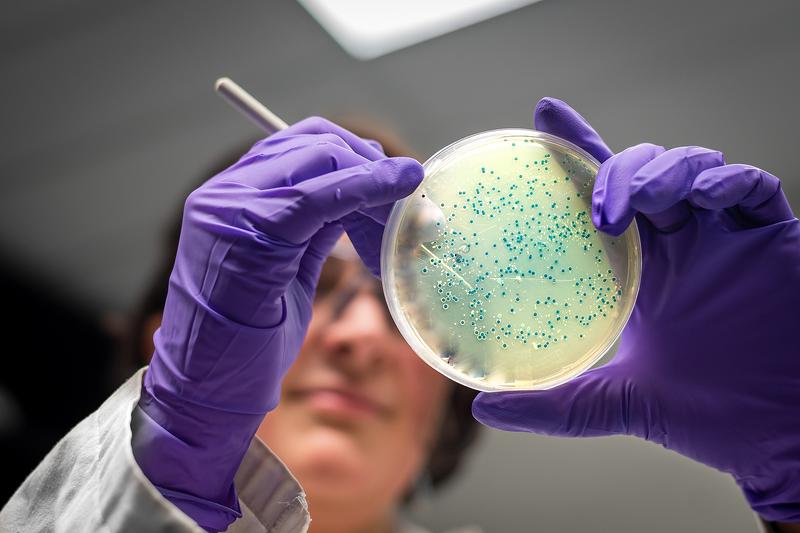Új baktérium, amely radikálisan gyorsíthatja a műanyagok lebomlását