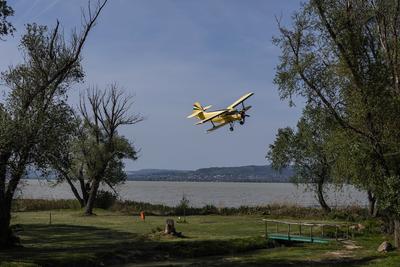 Az áradó Duna és a csapadékos idő hatása a szúnyogpopulációra
