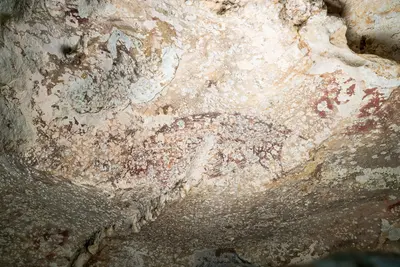 Felfedezték a világ legrégebbi barlangrajzát Indonéziában