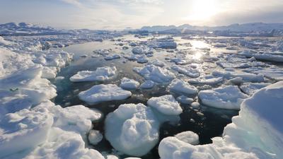 Rejtélyes óriásvírusokat fedeztek fel a grönlandi jégben