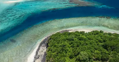 A korallzátonyok fehéredése: globális fenyegetés a biodiverzitásra