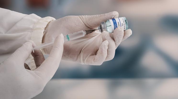 A Covid-19 vakcinák mellékhatásai és a többlethalálozások összefüggései