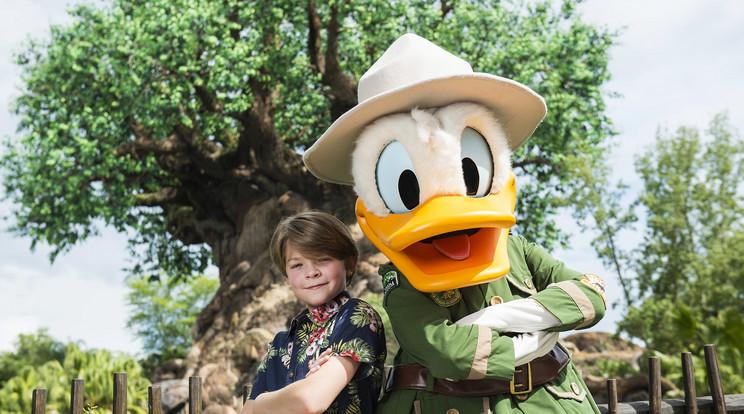 Donald kacsa 90 éves – Egy ikonikus rajzfilmfigura életútja