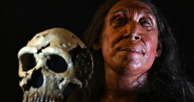 Életre kelt a múlt: Egy 75 000 éves neander-völgyi nő arcát rekonstruálták