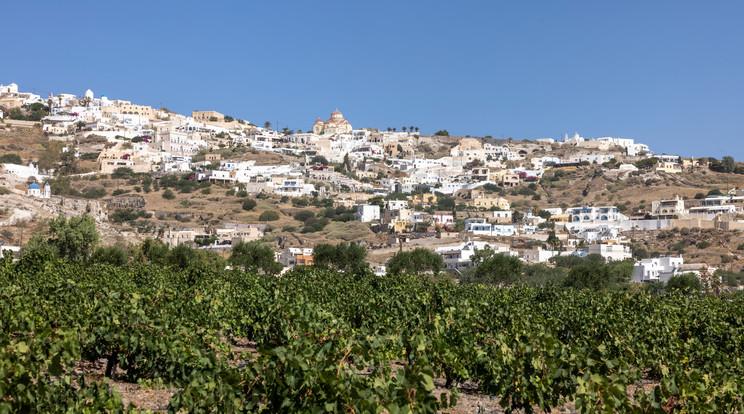 Fedezd fel Görögország elbűvölő borvidékeit és különleges borait