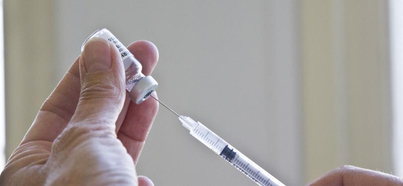 Fejlesztés alatt egy új mRNS-alapú vakcina madárinfluenza ellen