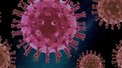 Az elhúzódó koronavírus-fertőzés hatással lehet az emberek IQ-szintjére
