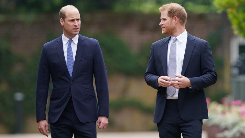 Vilmos és Harry herceg a filmvásznon: A királyi család titkos szerepei