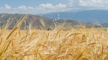 Az EU szigorítja az ukrán agrárimport szabályait