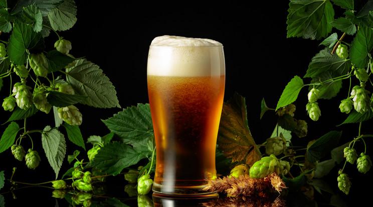 A brit sörök hagyományos ízei veszélyben az éghajlatváltozás miatt
