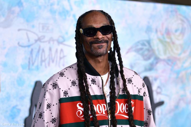 Snoop Dogg mesefigurás jelmezben ünnepli unokái születésnapját