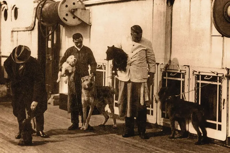 A Titanic három hős kutyája, akik túlélték a hajókatasztrófát