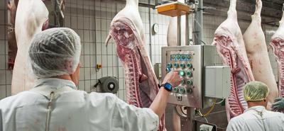 Németországban csökken a húsfogyasztás és a vágóhidak bajban vannak