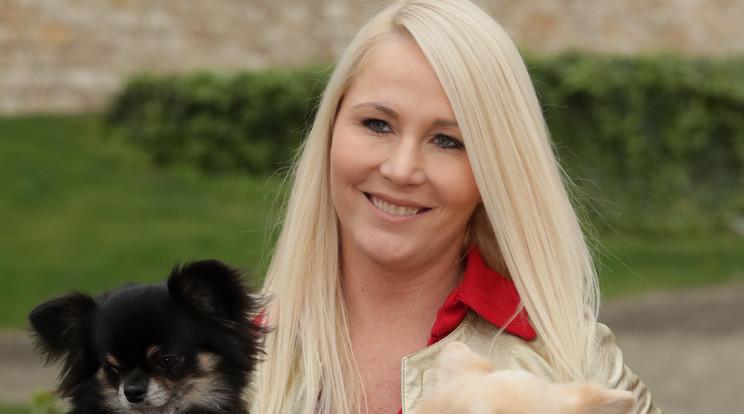 Miló Viki Ukrajnából mentett csivavájával nyert a World Dog Show-n