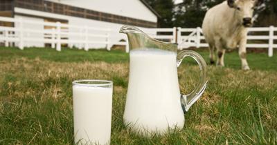 A WHO szerint a nyers tej fogyasztása veszélyeket rejt magában