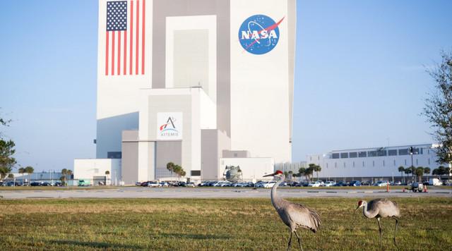 Floridai család pereli a NASA-t, miután űrszemét csapódott házukba