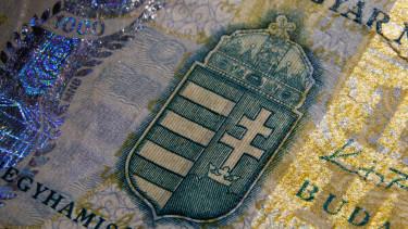 Magyarországon alkotmányos jog lehet a készpénzhasználat