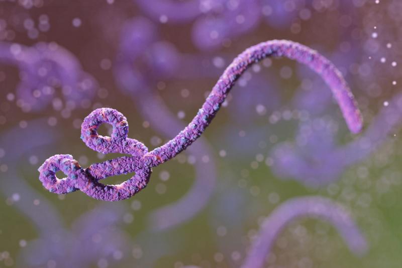 Kínai kutatók ebolaszerű vírust hoztak létre laboratóriumi körülmények között