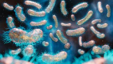 Az antibiotikum-rezisztencia kutatása és a jövő egészségügyi kihívásai