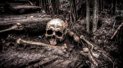 Emberi csontok kerültek elő egy újbudai lomtalanításnál