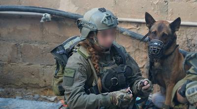 Miskolci kutya a hős: Rókica most Izrael bombakereső sztárja