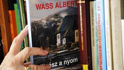 Wass Albert életrajzi adatainak kétségei: Történész feltárja az igazságot