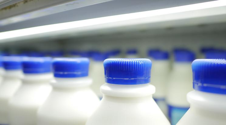 Madárinfluenza nyomát találták az amerikai bolti tejekben