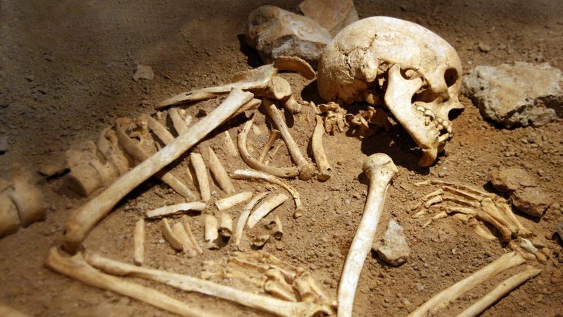 Ezeréves emberi maradványokra bukkantak egy angliai hotel kertjében