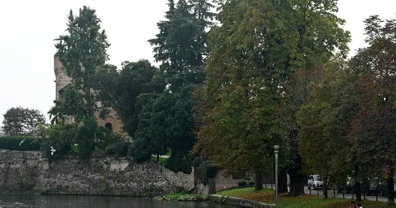 Oderzo városában mostantól tilos a fákra mászni