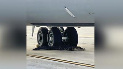 Aligátor szunyókálása zavarta meg az amerikai légibázis forgalmát
