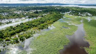 Japán és Brazília összefog a klímaváltozás ellen és az Amazonas védelmében