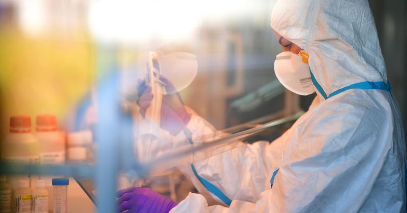 Új madárinfluenza variánsok terjedése - a WHO aggodalmát fejezi ki