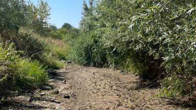 Fél millió forint a Tarna folyó ügyében segítőknek: Büntetőper indul