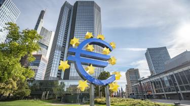 Az EKB döntéshozója a kamatcsökkentés mellett áll, de további lépések kérdésesek