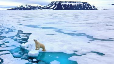 Az emberiség jövője veszélyben: tudósok a klímaváltozás súlyos következményeiről