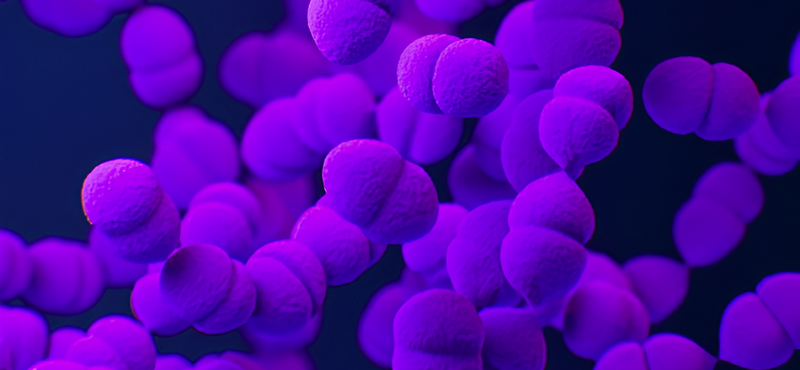 Mesterséges intelligencia az antibiotikumok új generációjának tervezésében