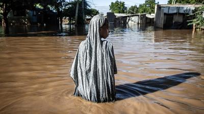 A hét legizgalmasabb képei: tevegelés és pusztító árvíz