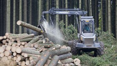 Az USA kéri az EU-t az erdőirtás elleni szabályozás elhalasztására