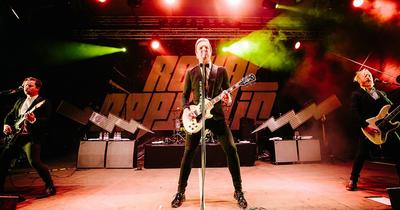 A Royal Republic új albuma: Vad rockzene szerelemőrjöngéssel
